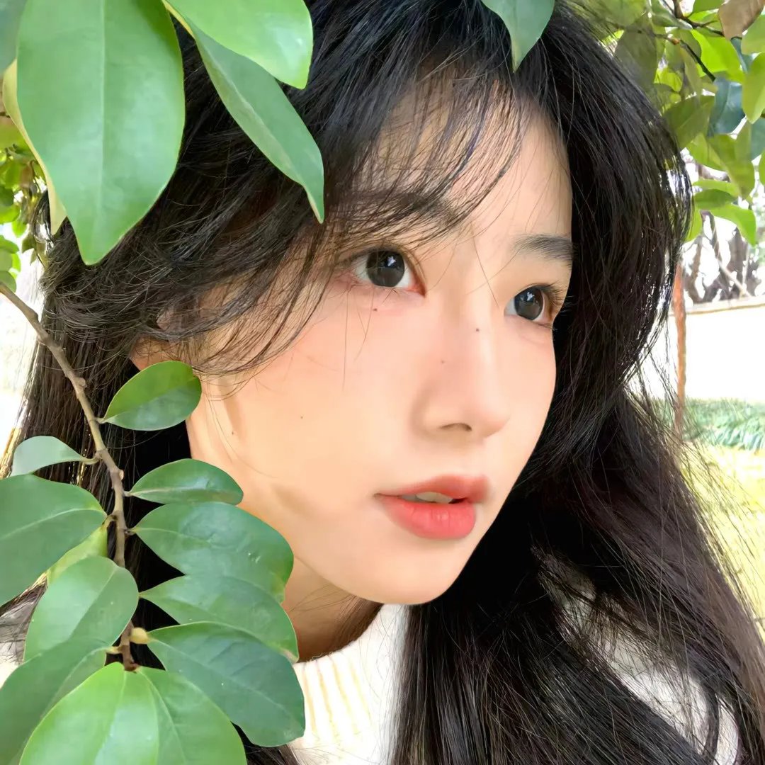猎艳情歌
